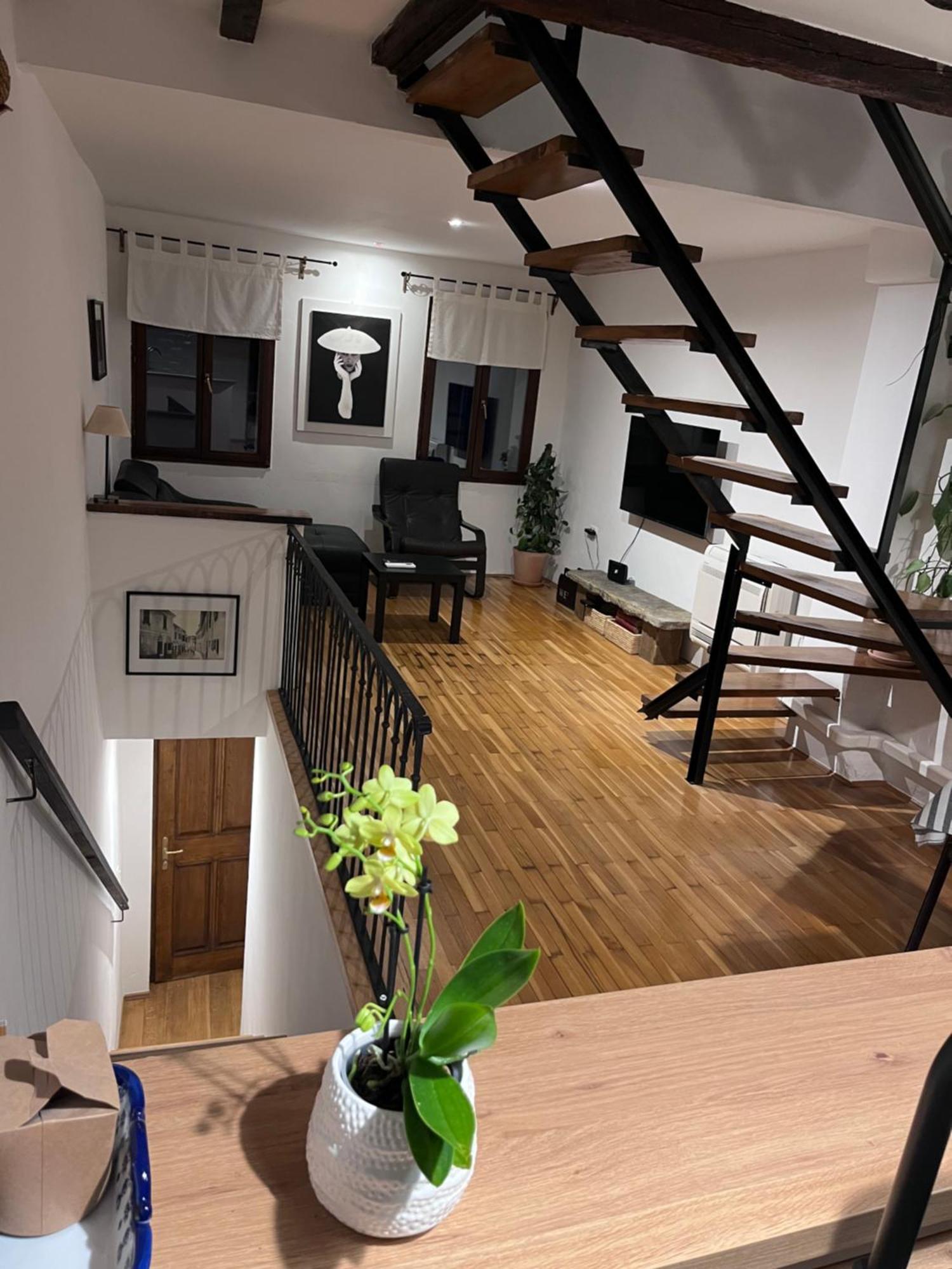 Apartment Capo D'Istria Копер Екстер'єр фото